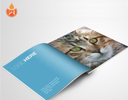 精美畫(huà)冊(cè)